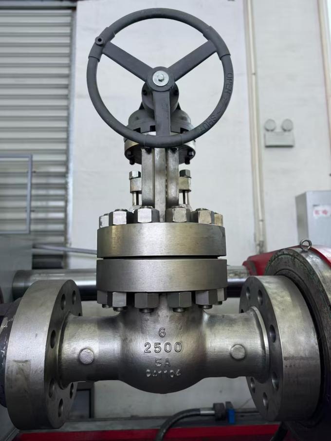 6 Inch 5A-2500 Class Stainless Steel Gate Valve