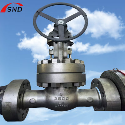 6 Inch 5A-2500 Class Dual Stainless Steel Gate Valve with Middle Bolt Design for High Pressure Applications