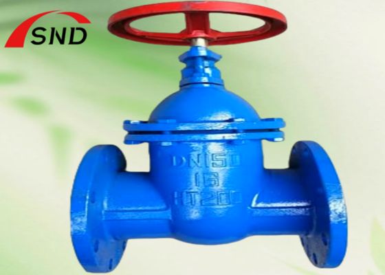 HT200 Rising Stem Flange Gate Valve DN65 PN16 for High Temperature and Pressure Piping Systems