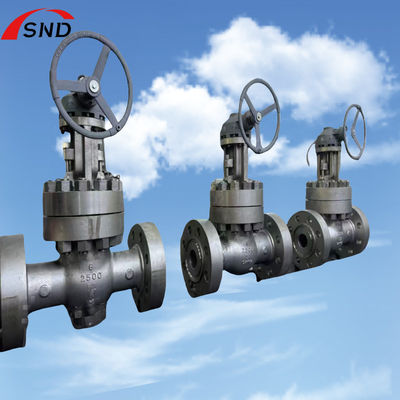 6 Inch 5A-2500 Class Stainless Steel Gate Valve