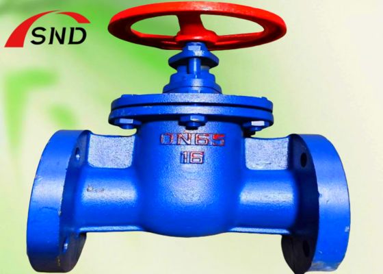 HT200 Rising Stem Flange Gate Valve DN65 PN16